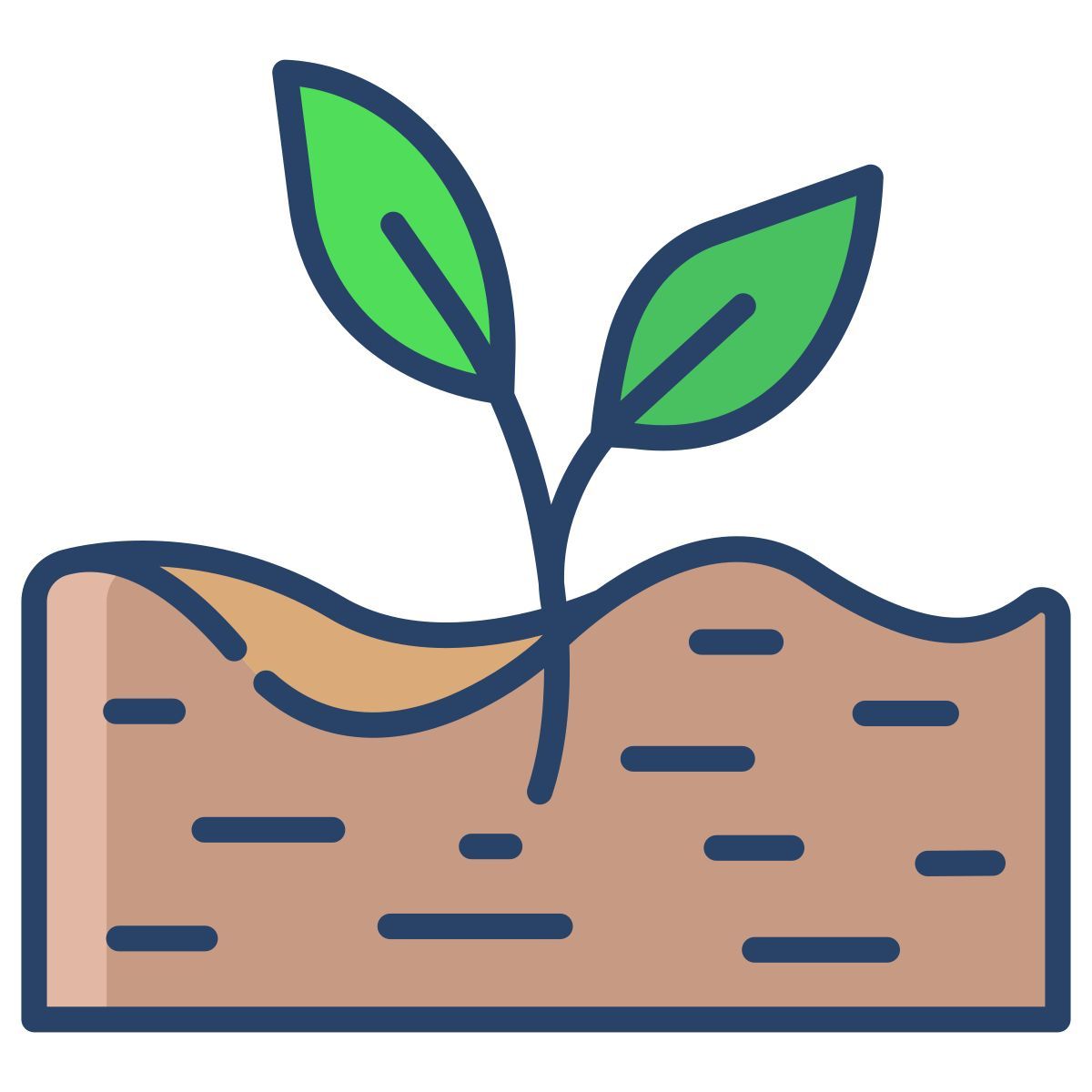 plant icon