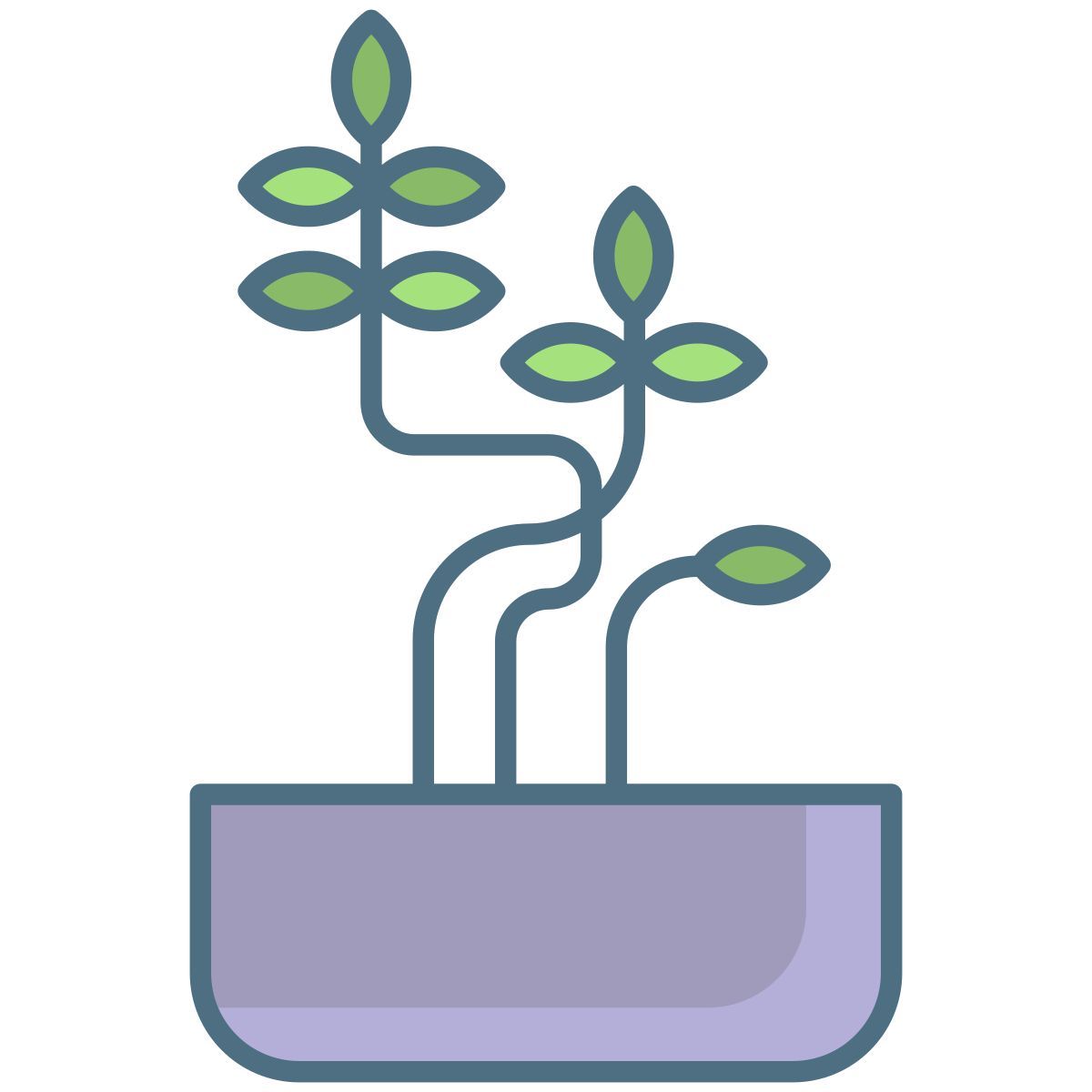 plant icon