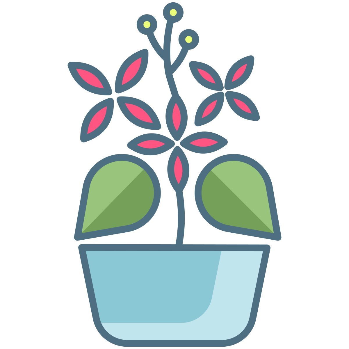 plant icon