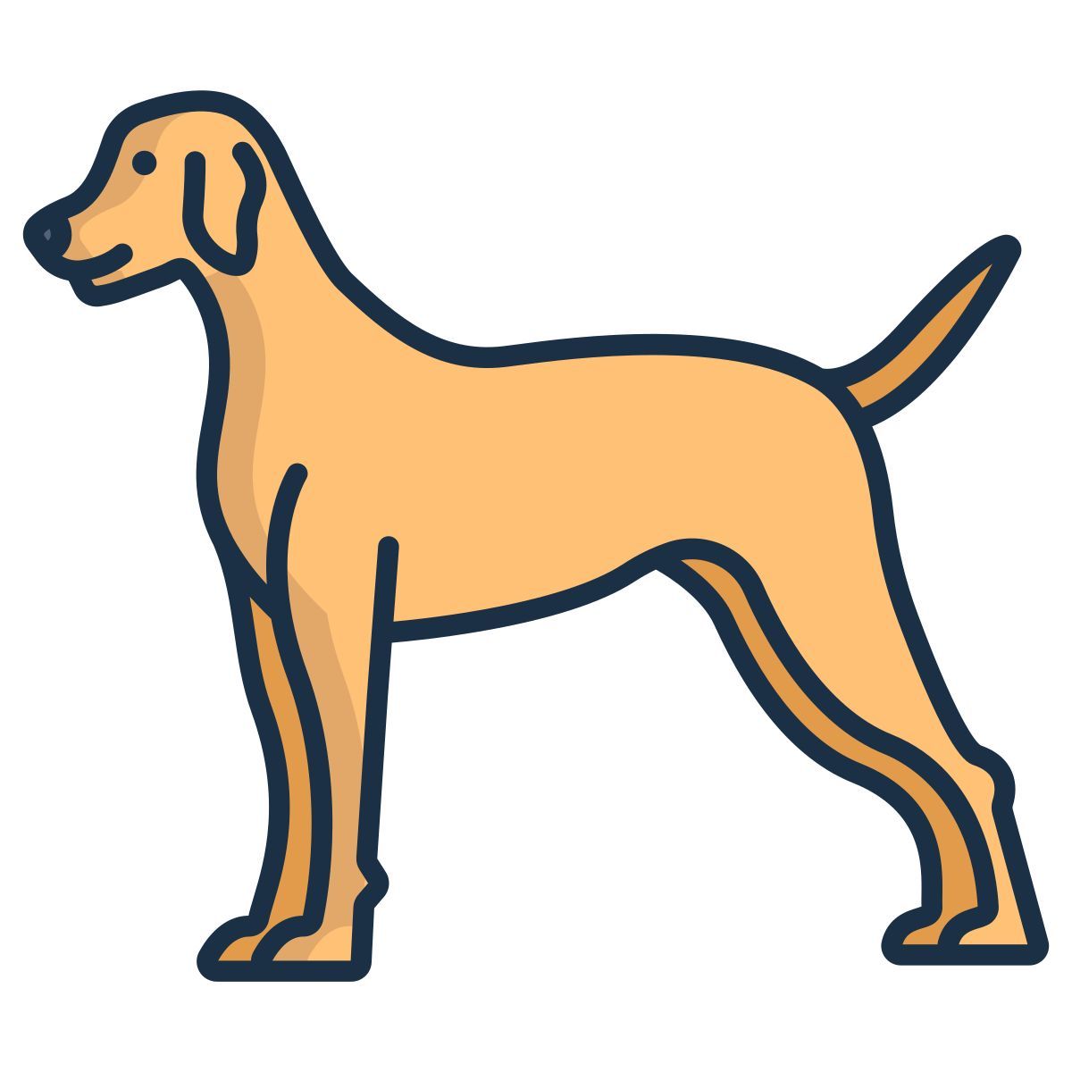dog icon