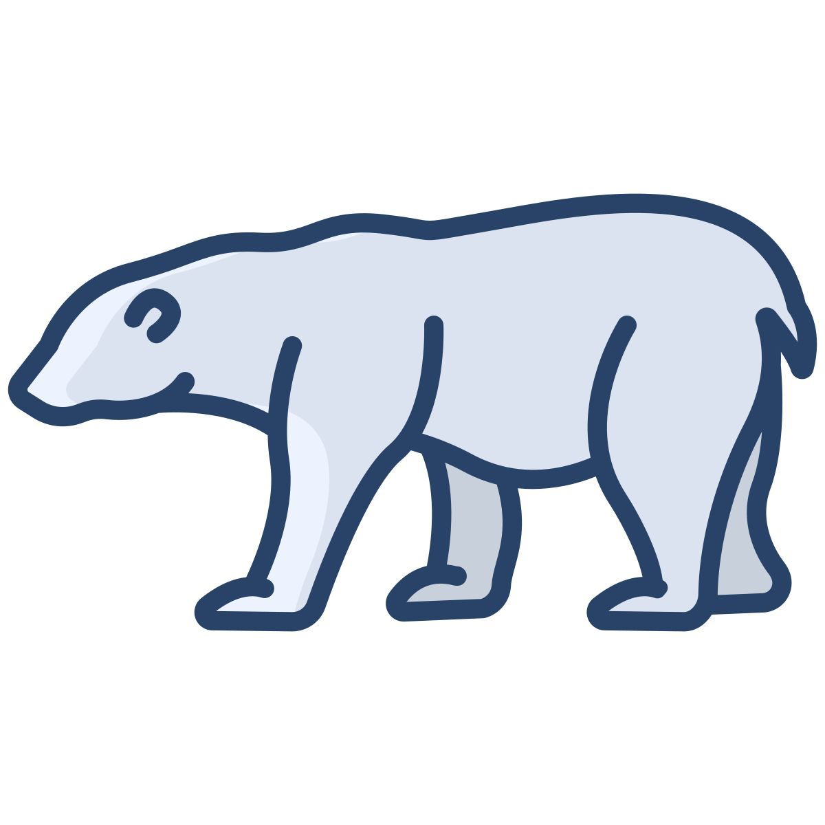 orso polare icon