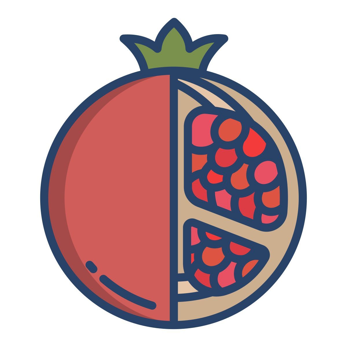 pomegranate icon