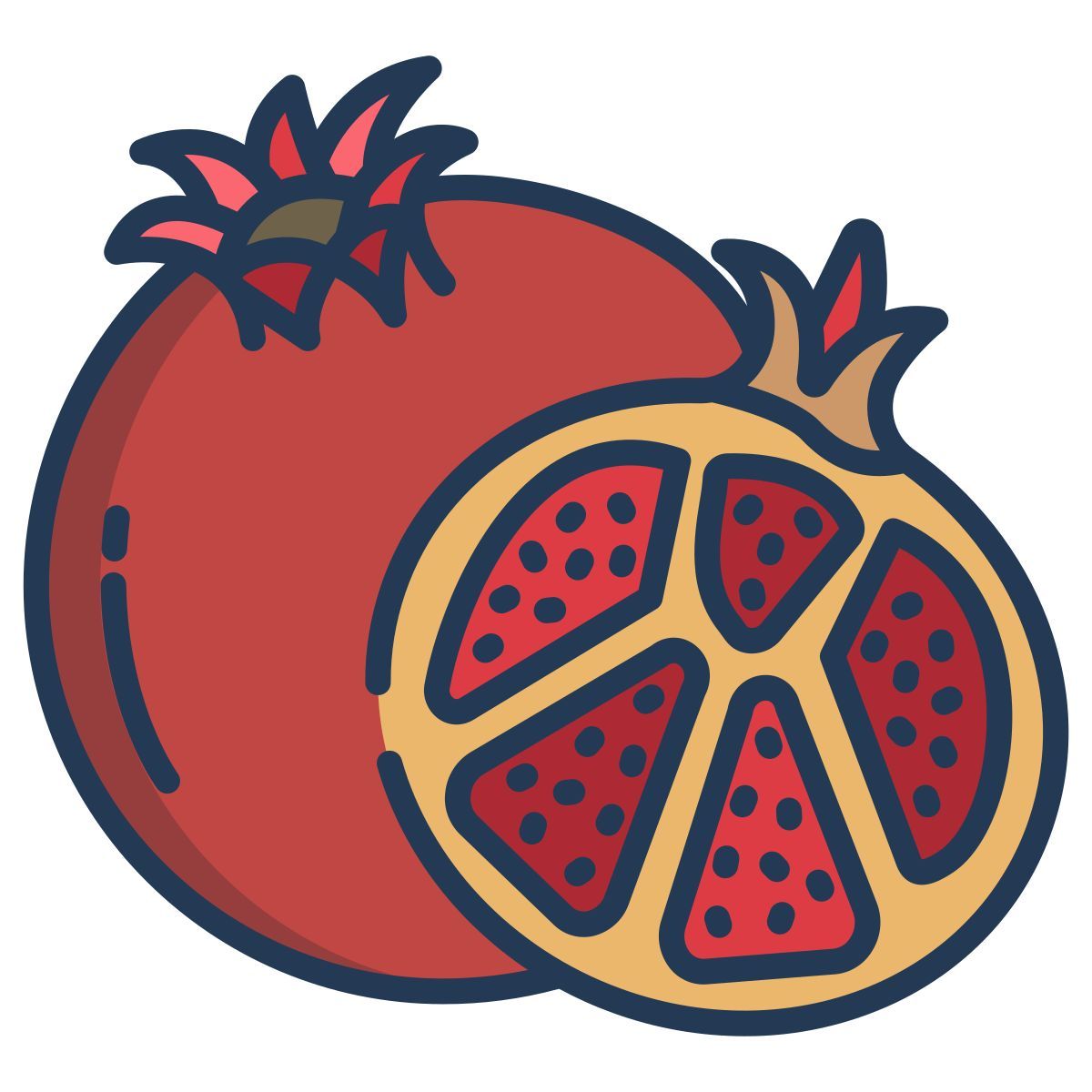 pomegranate icon