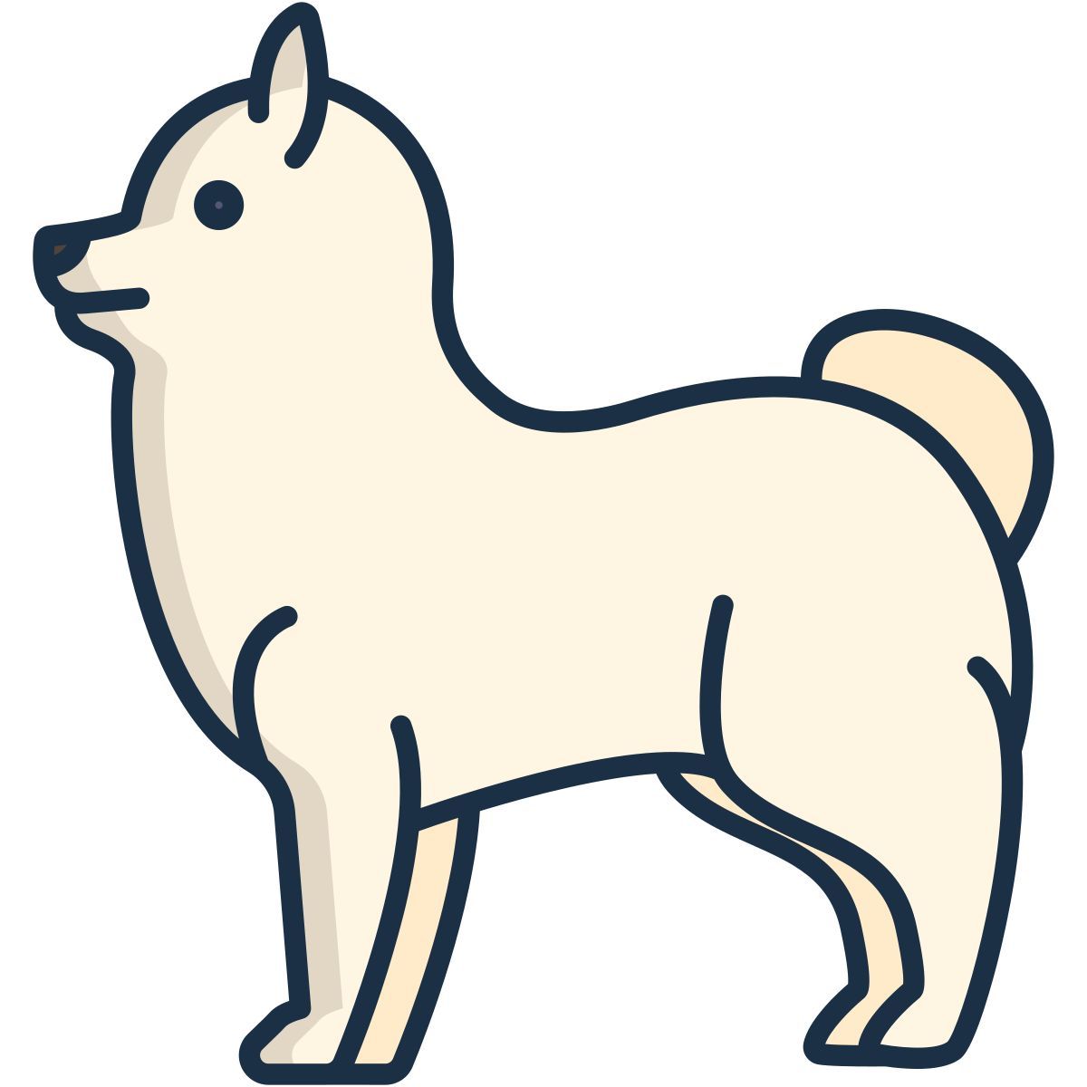 pomeranian icon