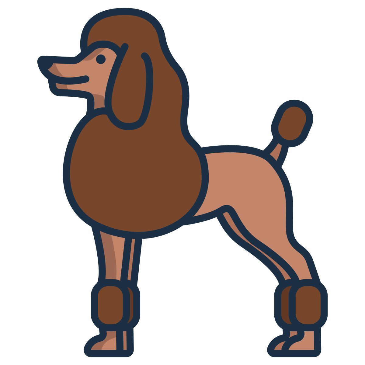 Pudel icon