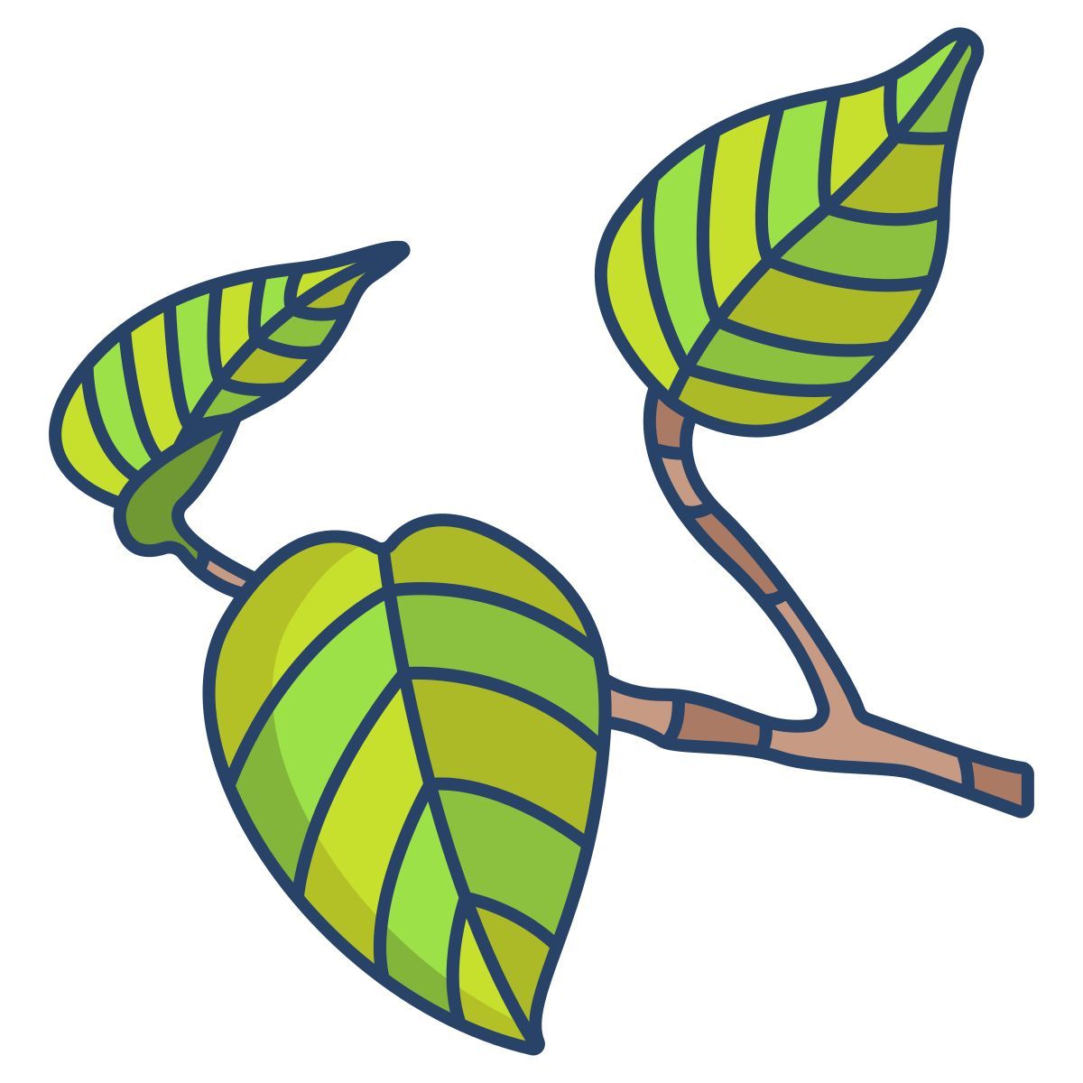 pothos icon