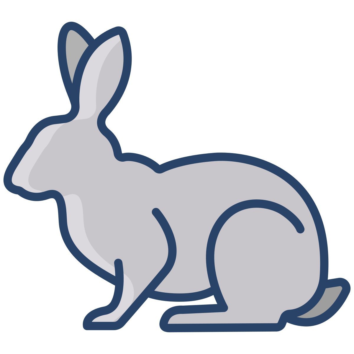 rabbit icon