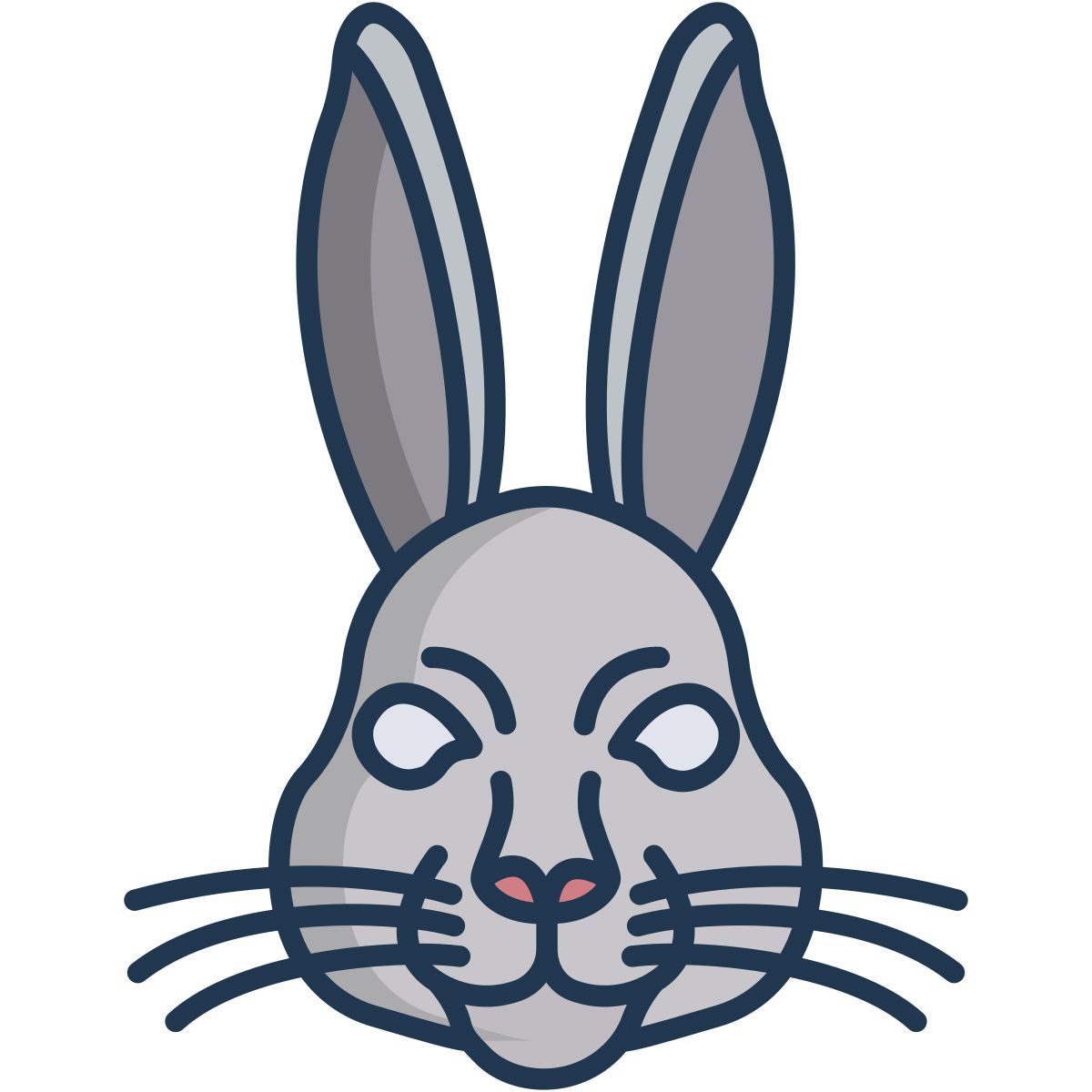 rabbit icon