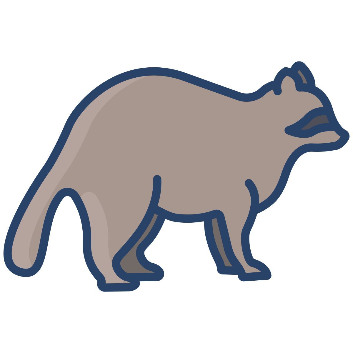 raccoon icon