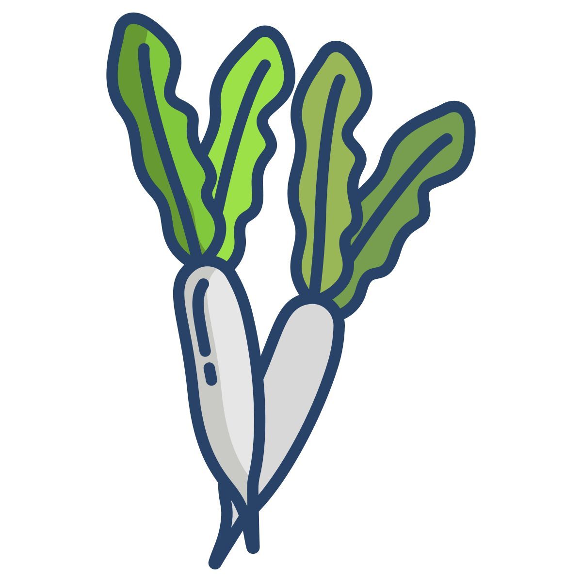 radish icon
