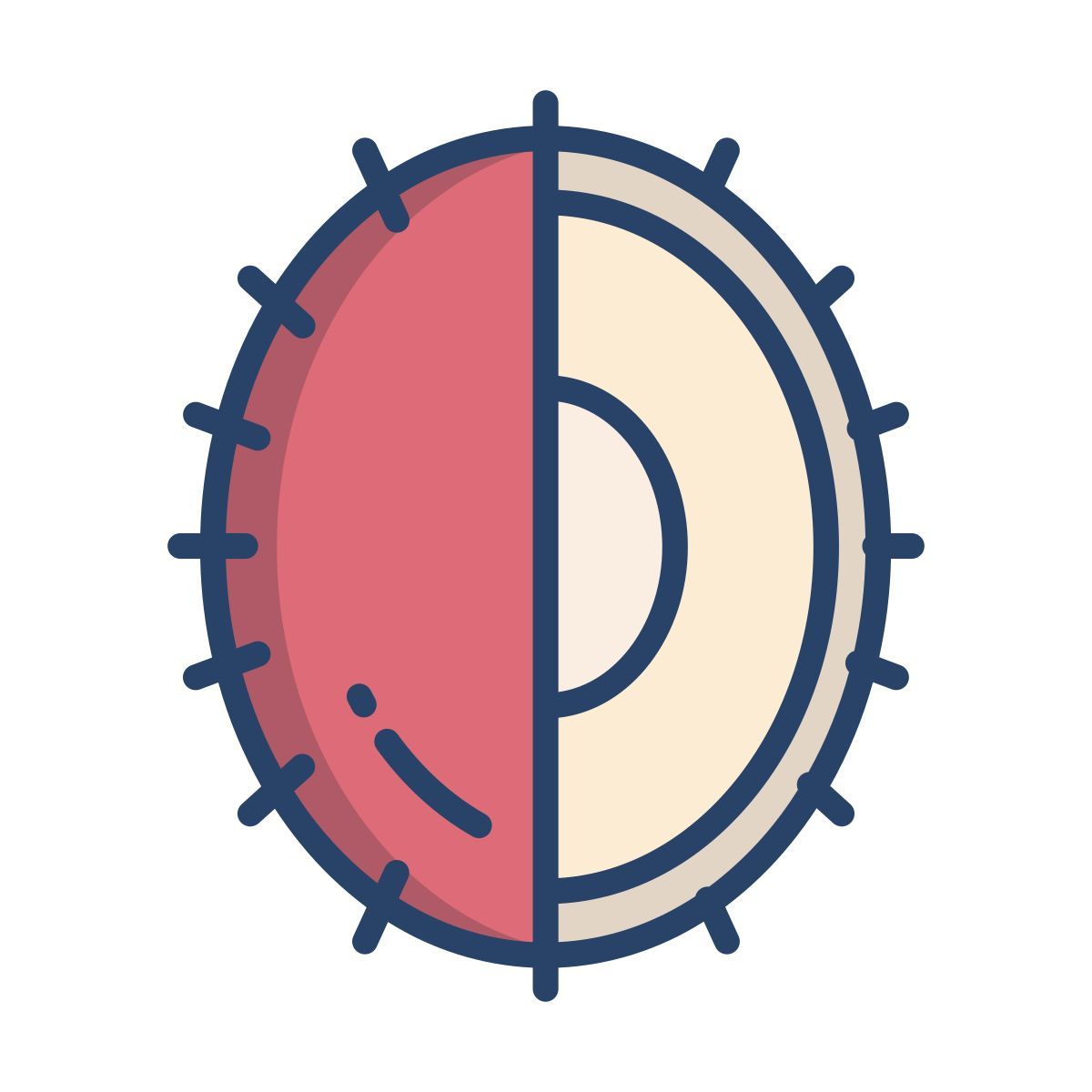 ramboutan icon