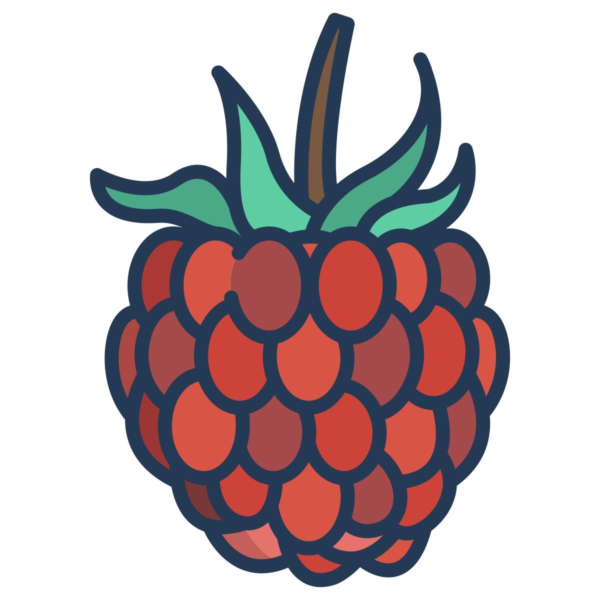 raspberry icon