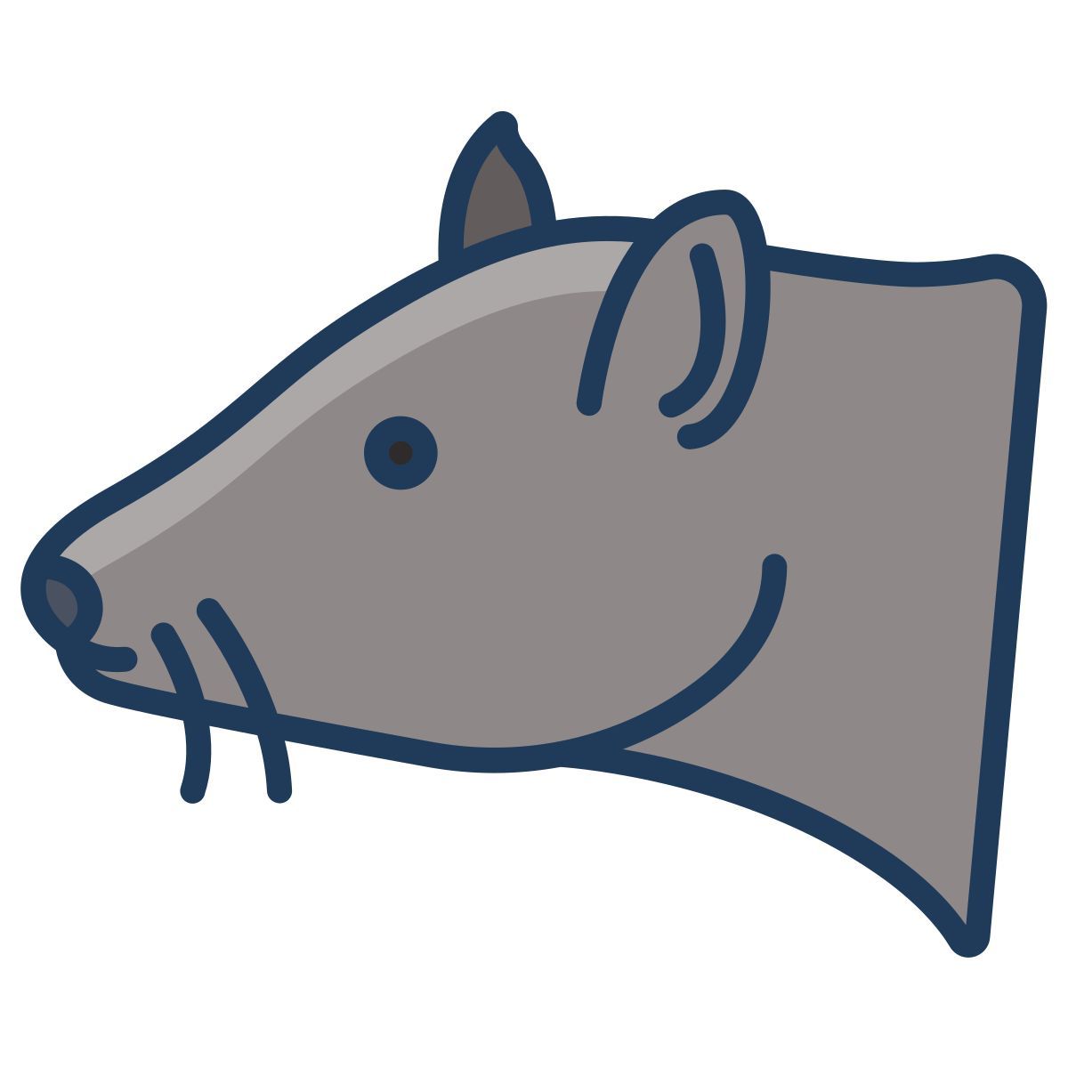 rat icon