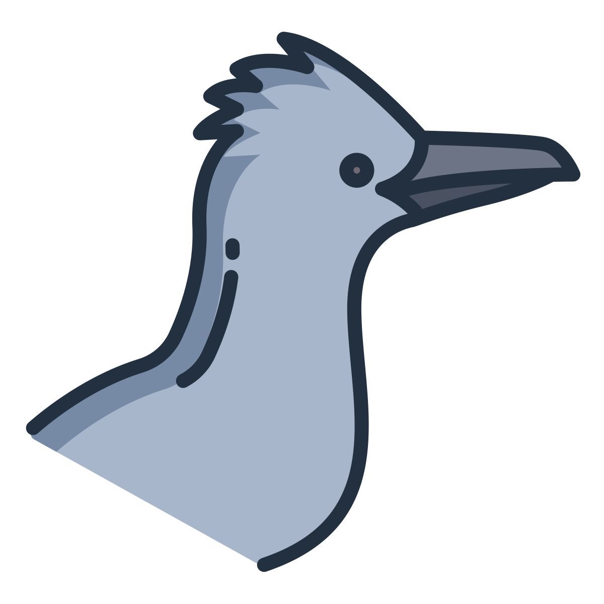 roadrunner icon