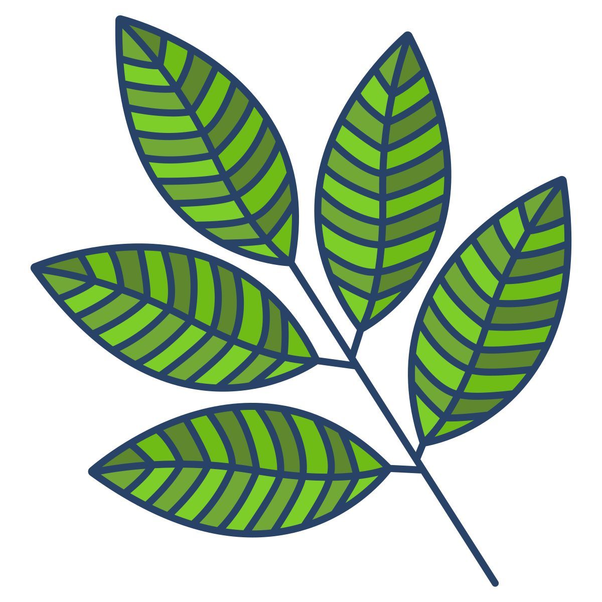 rowan icon