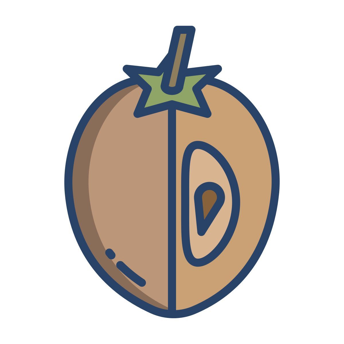 sapodilla icon