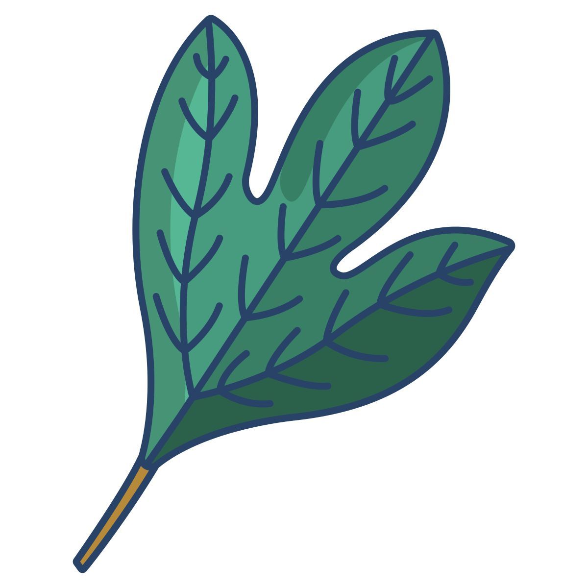 sassafras icon