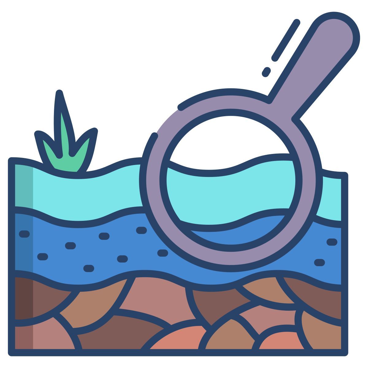 search icon