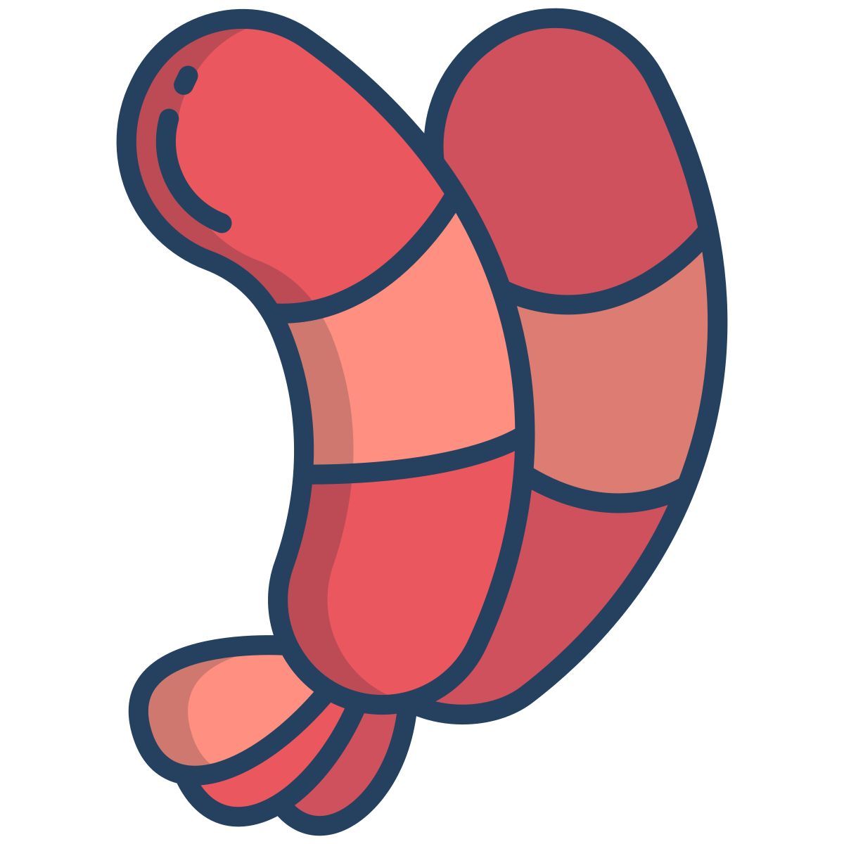 shrimp icon