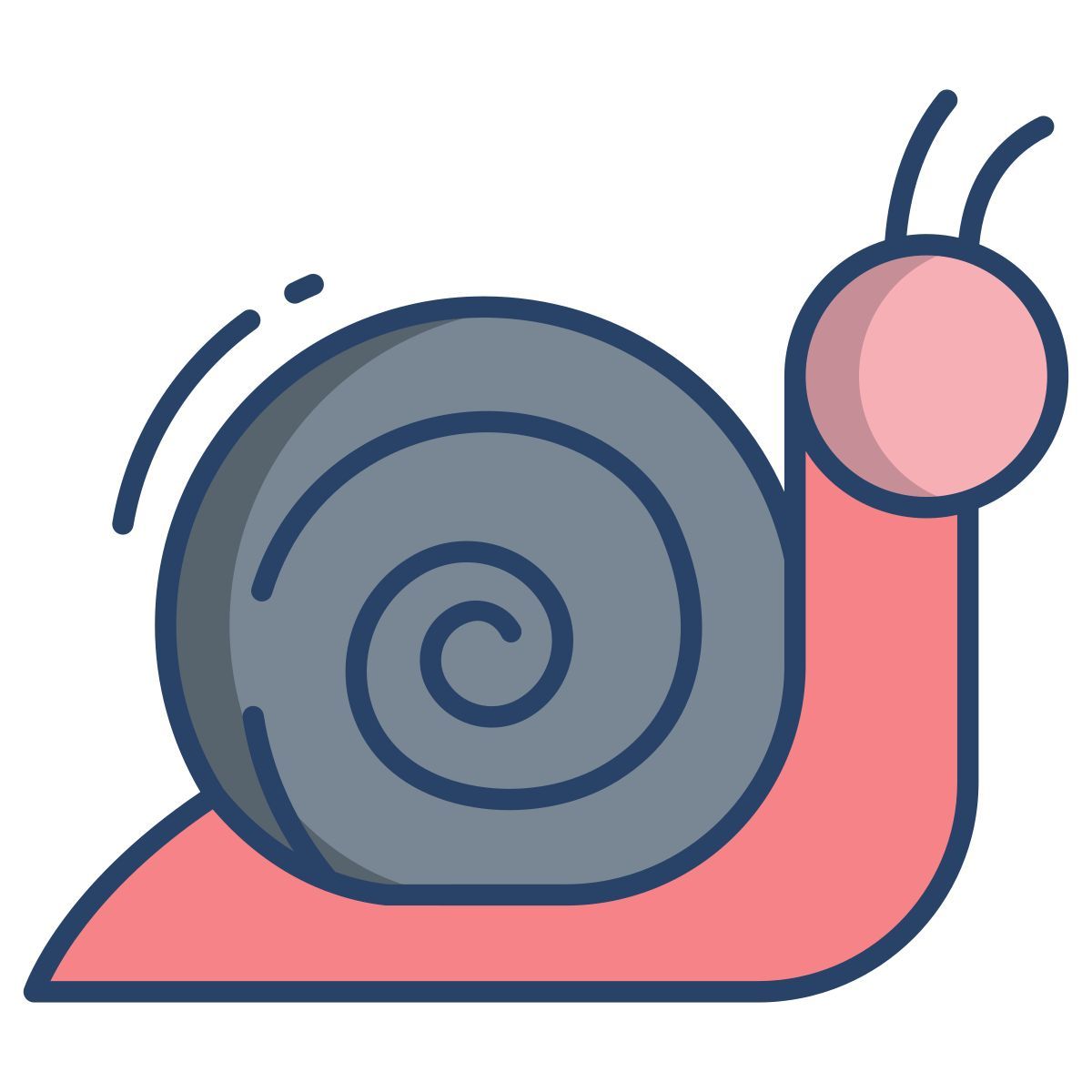 snail icon