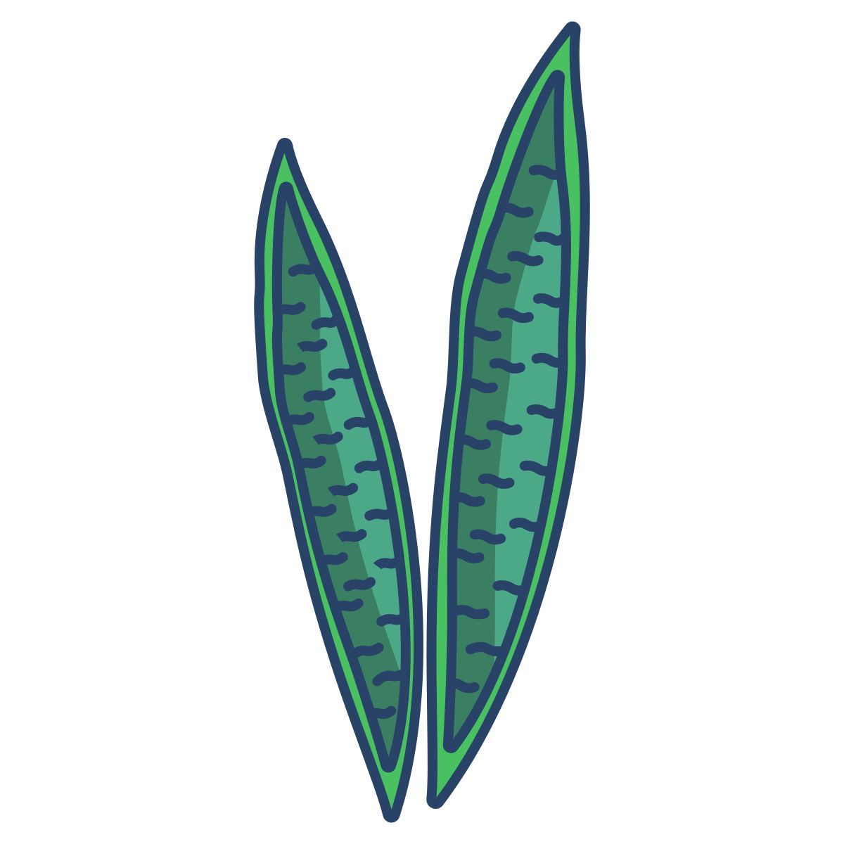 snake plant icon
