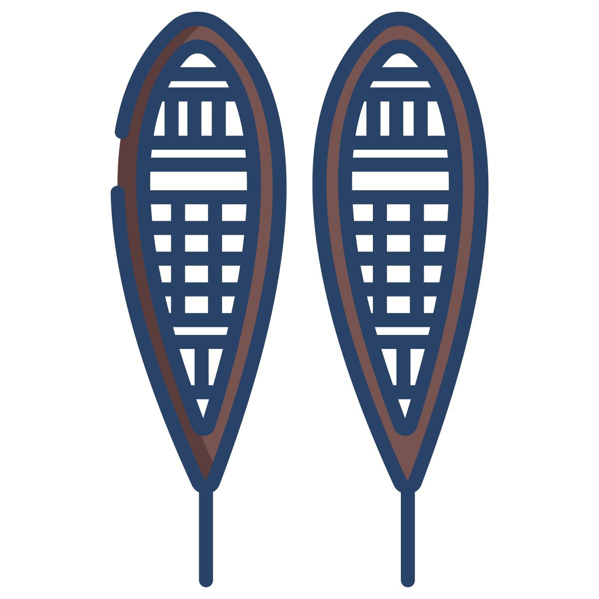 snowshoes icon