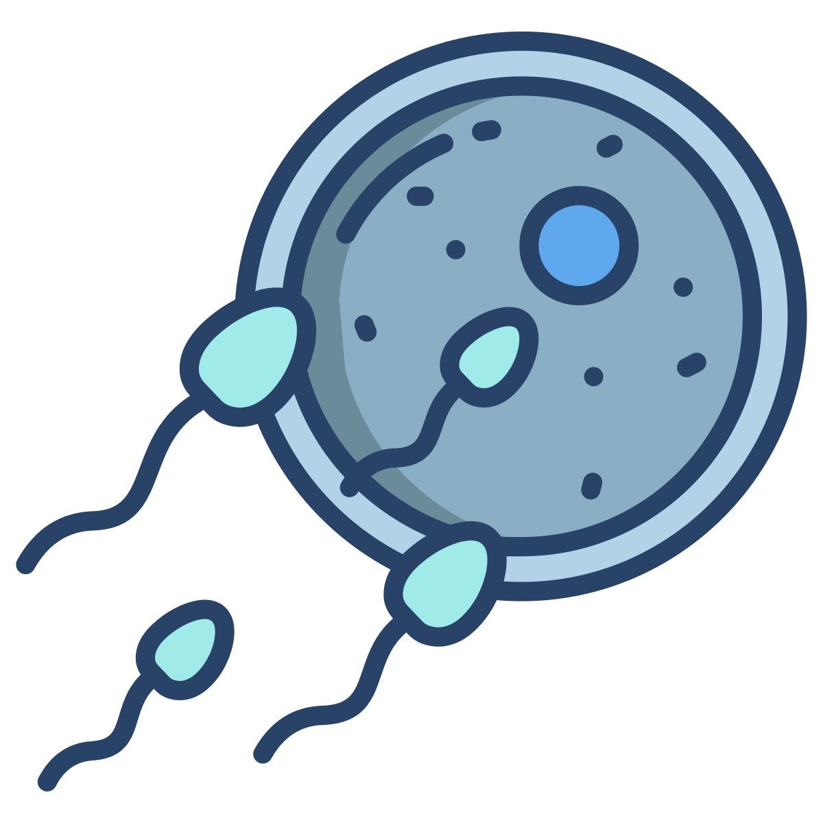 sperm icon