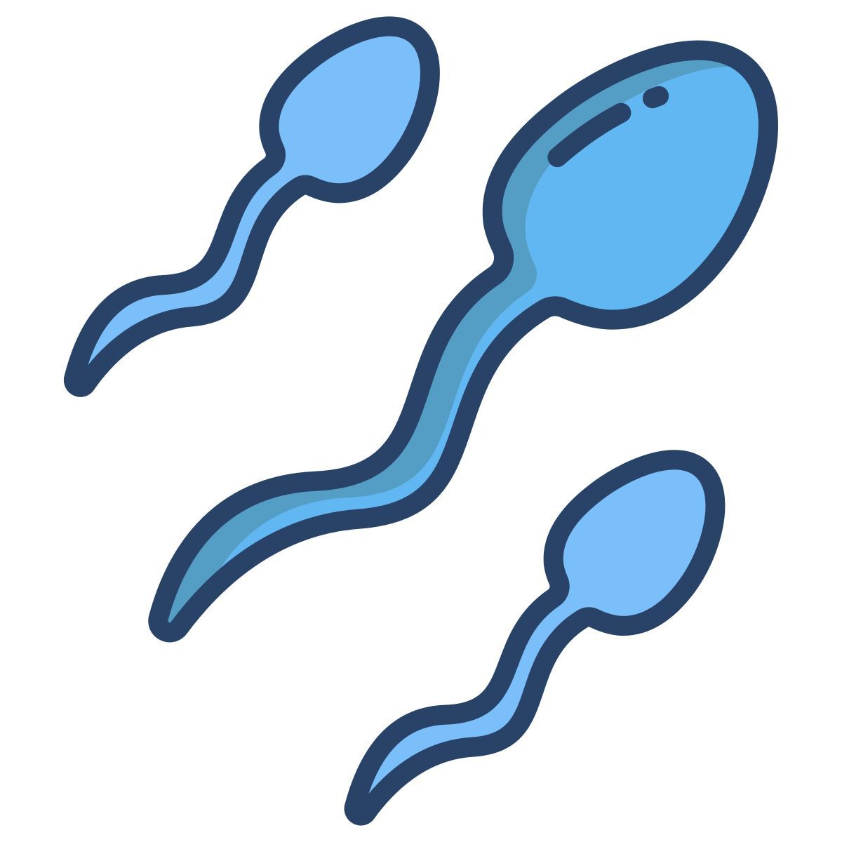 sperms icon