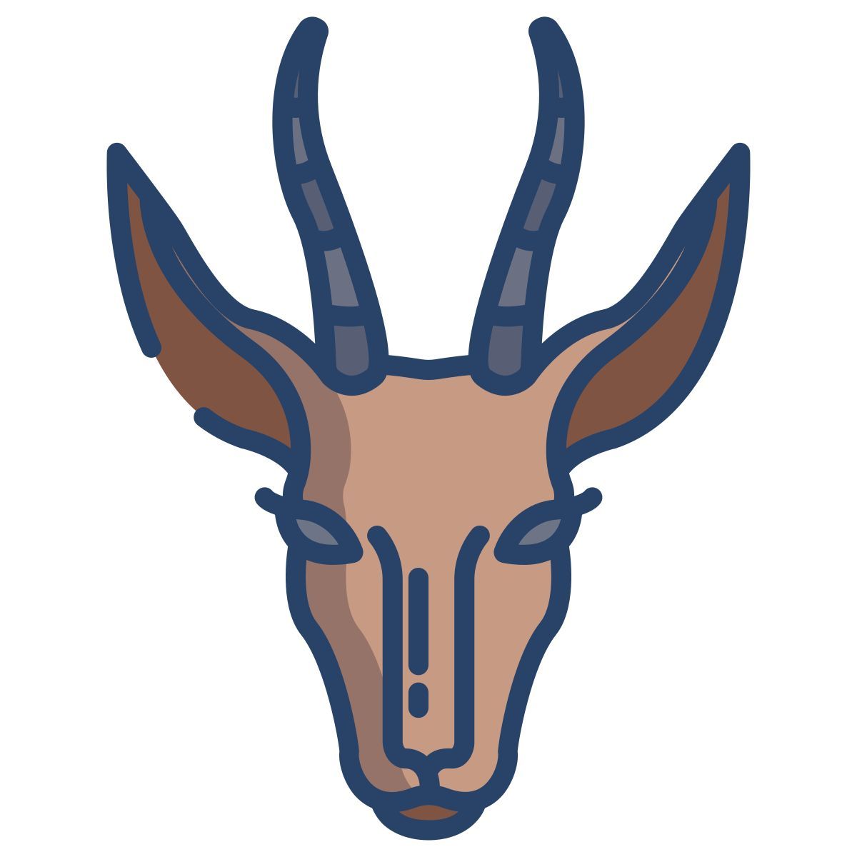 springbok icon
