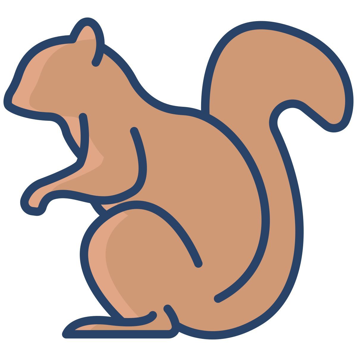 ardilla icon