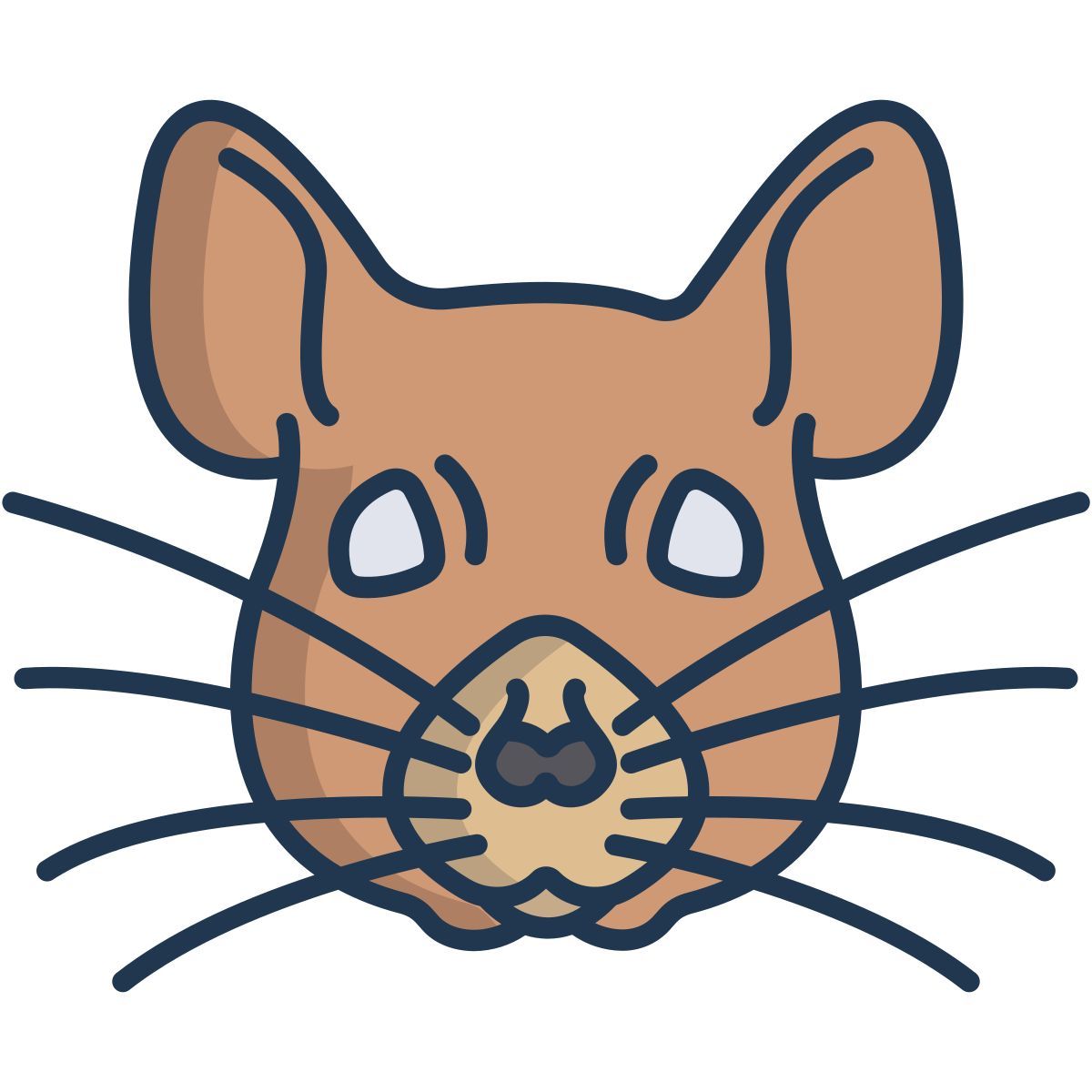 squirrel icon