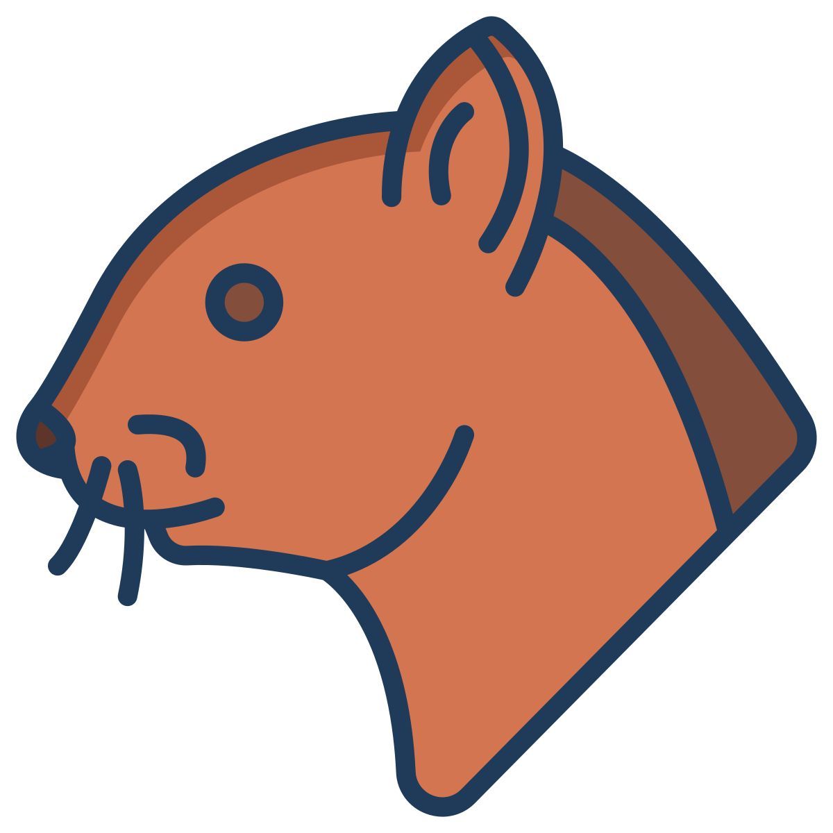 squirrel icon