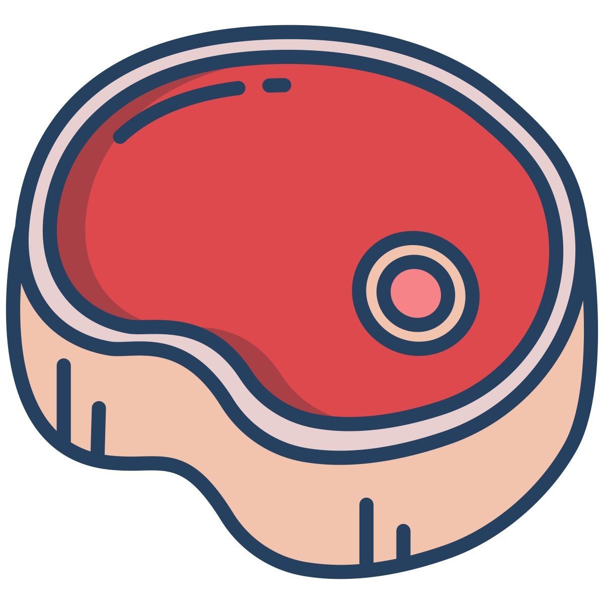 steak icon