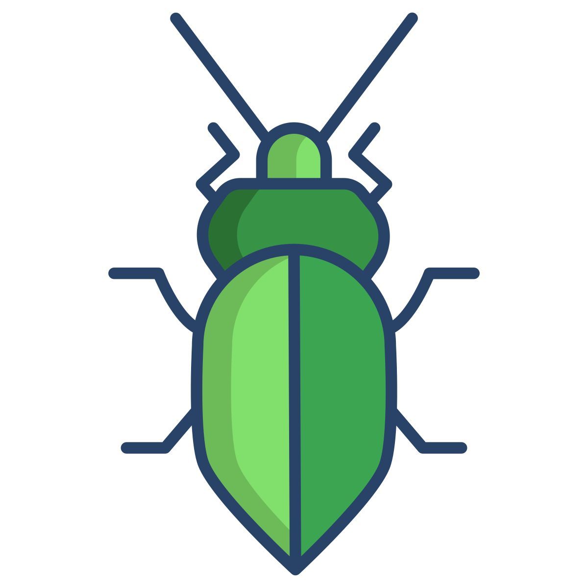 stink bug icon