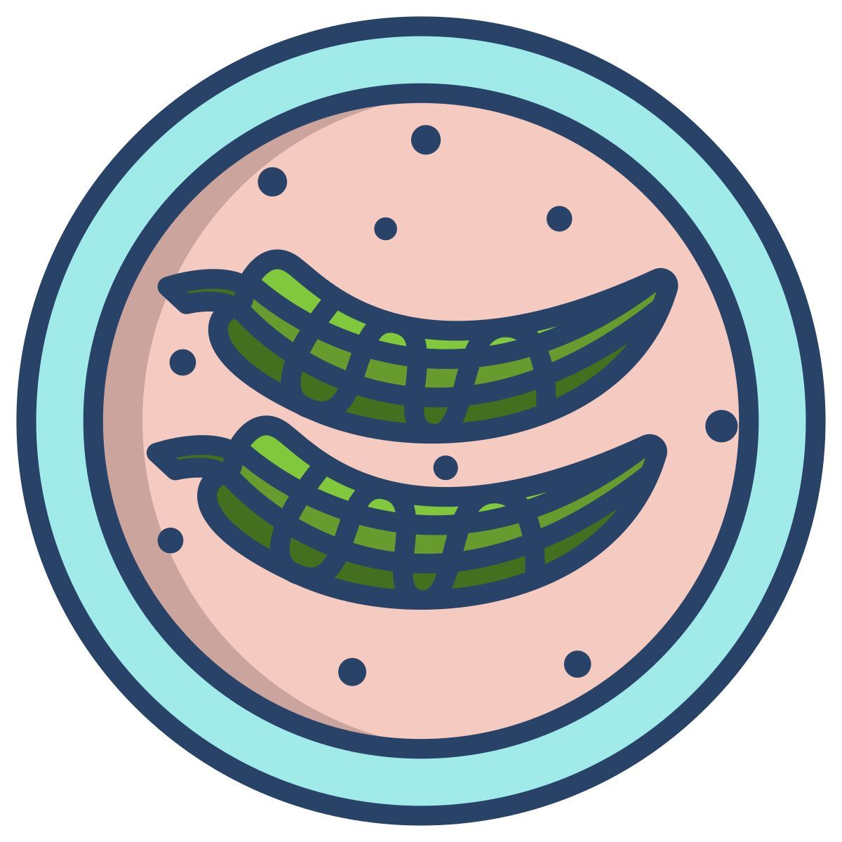 stuffed chiles with walnut sauce icon