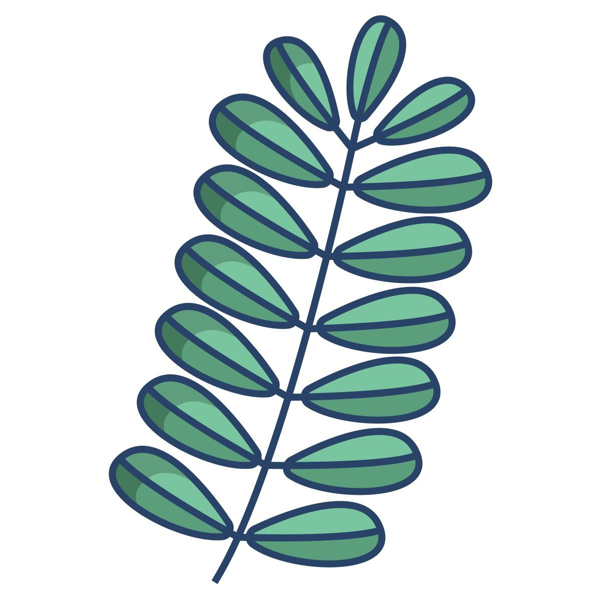 tamarinde icon