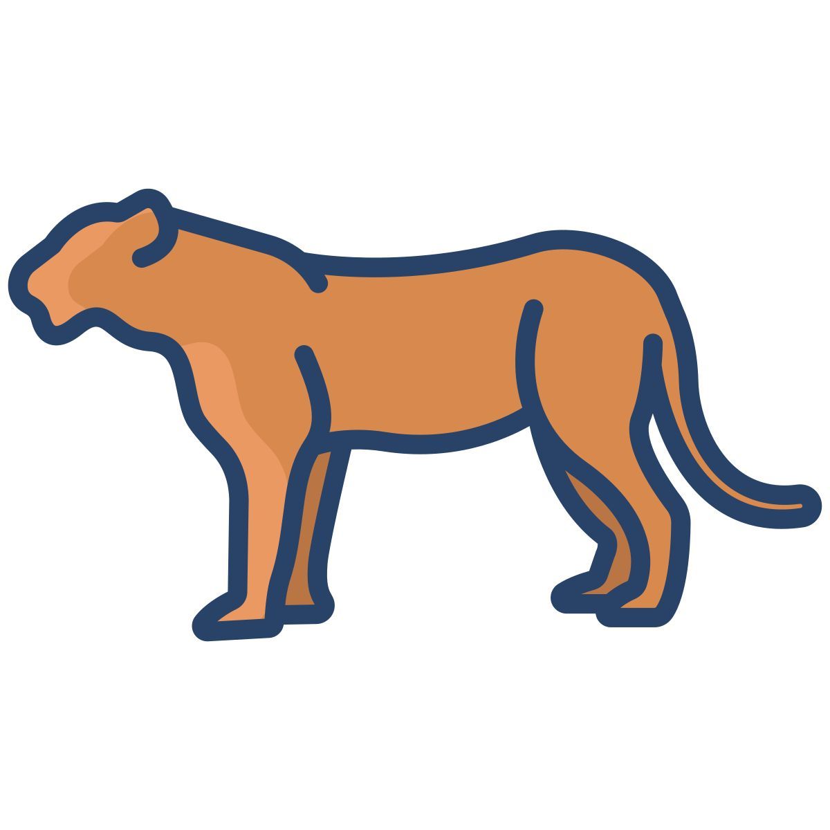 tiger icon