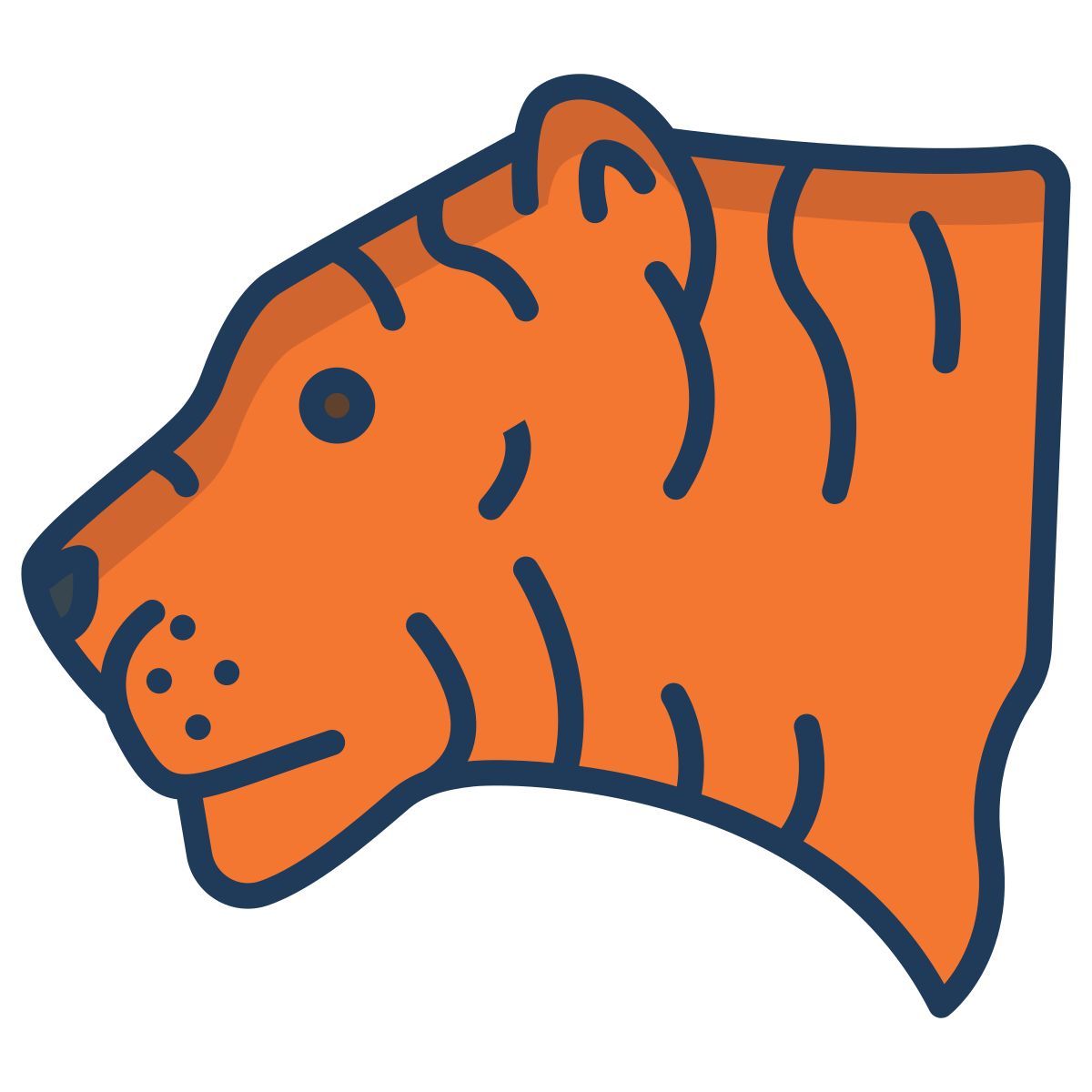 tiger icon