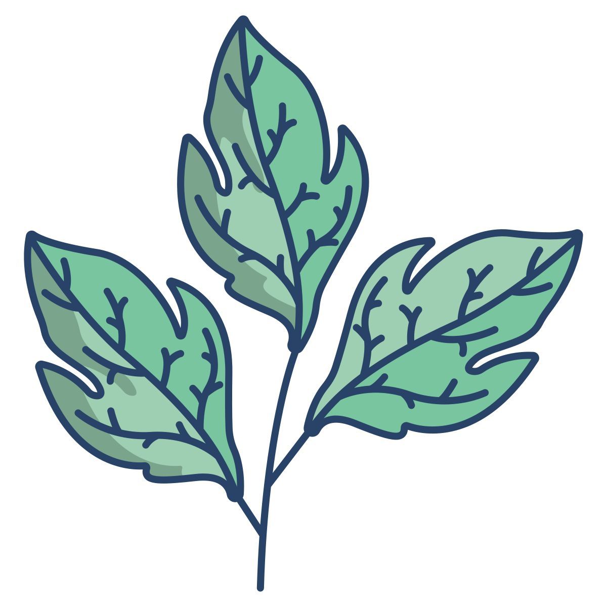 tomato icon