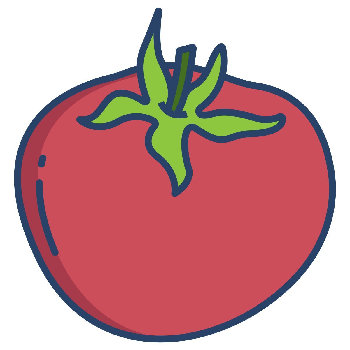 tomato icon