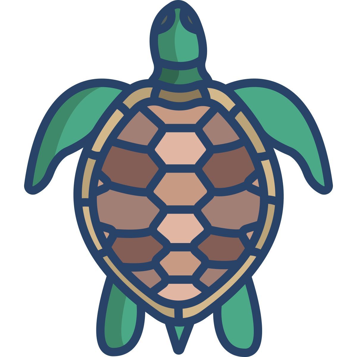 turtle icon