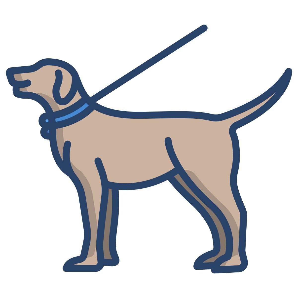 walking the dog icon