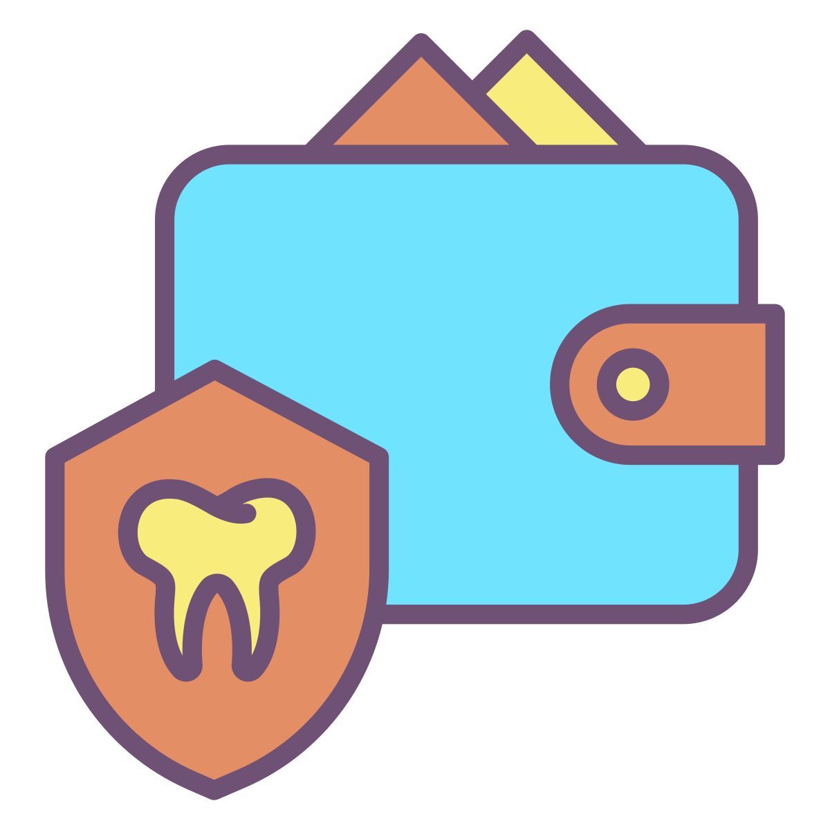 wallet icon