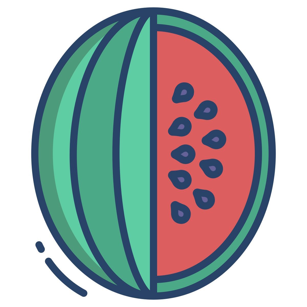 water melon icon