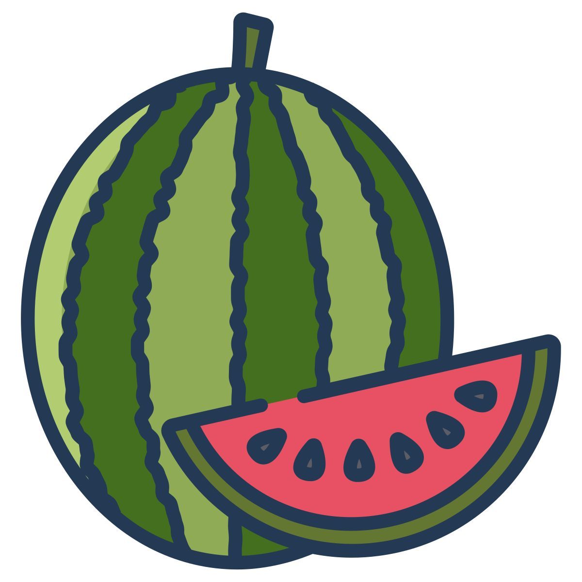 watermelon icon