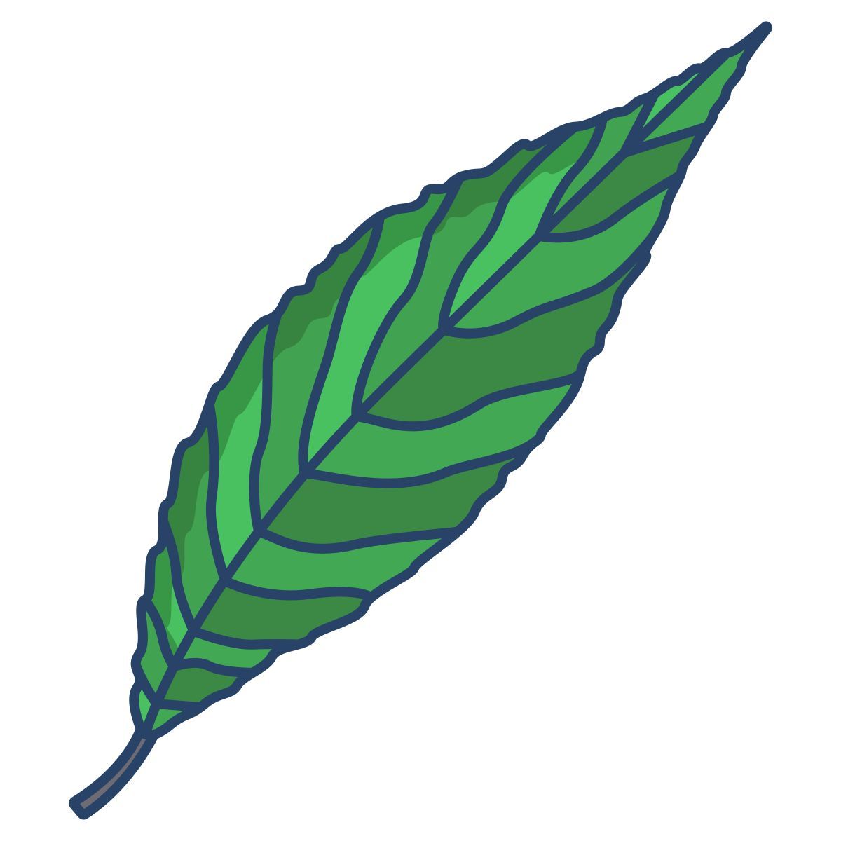 willow icon