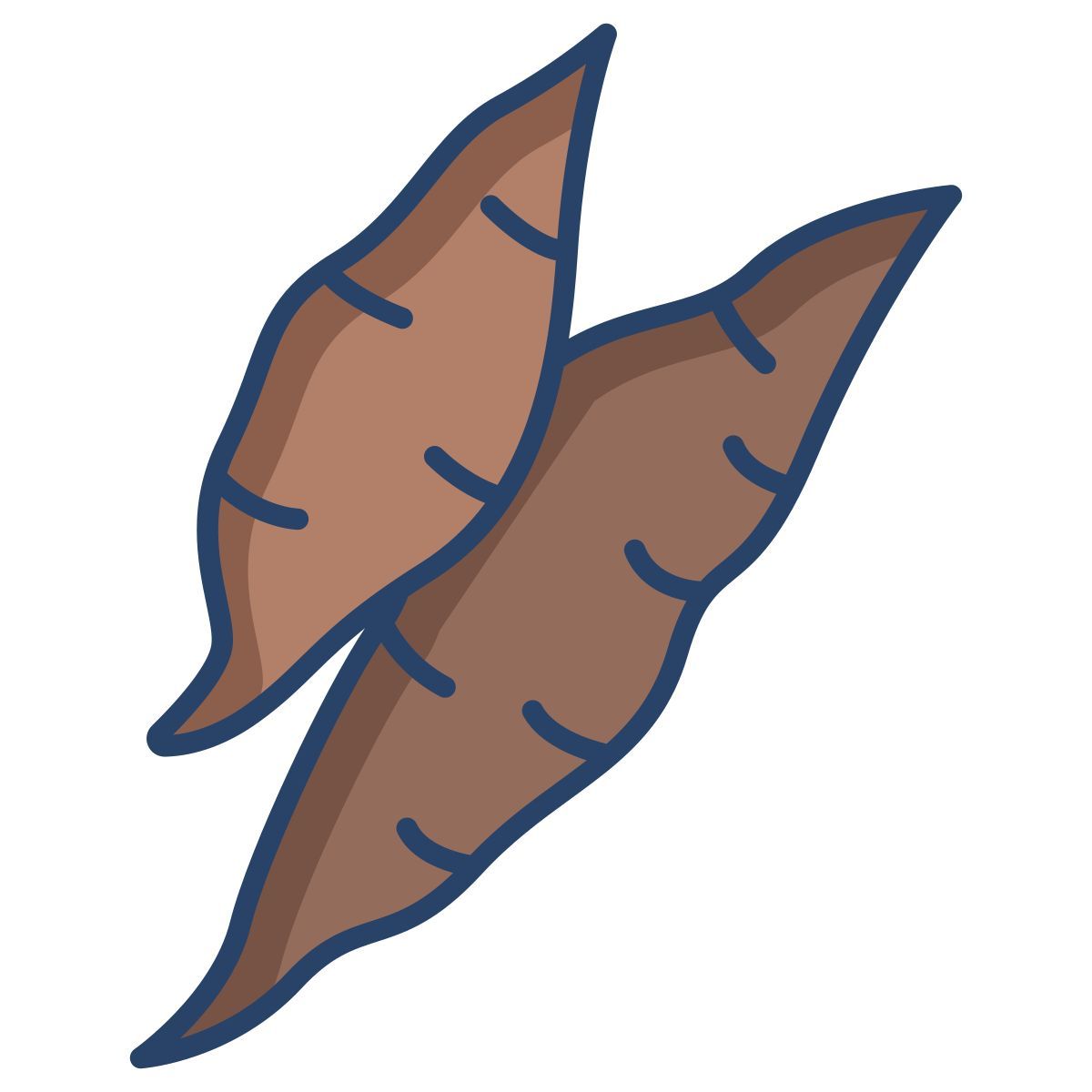 yucca icon