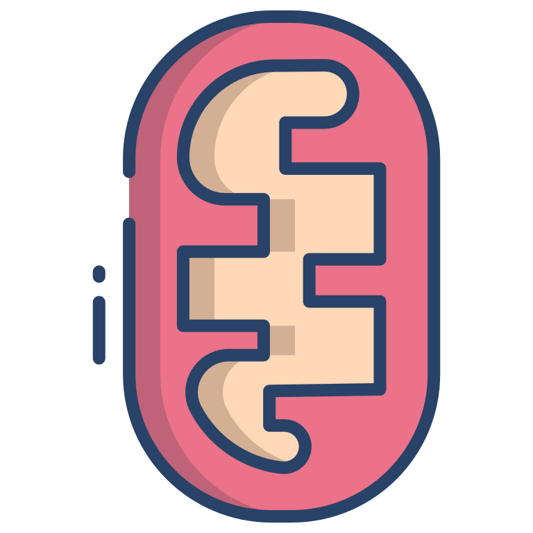 ミトコンドリア のイラスト Png Svg Gif
