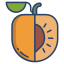 external apricot-fruits-and-vegetables-icongeek26-linear-colour-icongeek26 icon