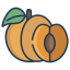 external apricot-fruits-icongeek26-linear-colour-icongeek26 icon